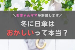 冬の日傘はおかしい？おきゃんママが疑問にお答えします